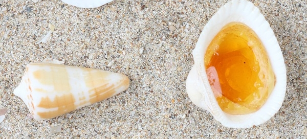 Roudoudous - Croque-Maman