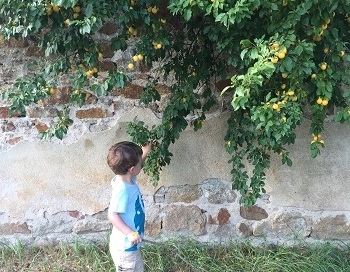 Summer holidays 2016 - Croque-Maman