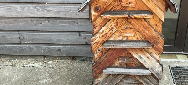 Honey Farm - Croque-Maman